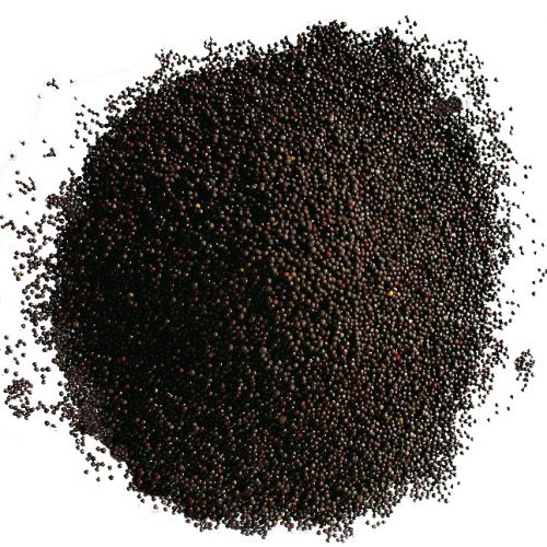 Therapieraps, 6 kg